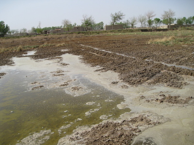 Land prepared for sowing but became water logged